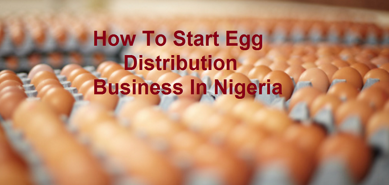 how to start egg distribution business in Nigeira