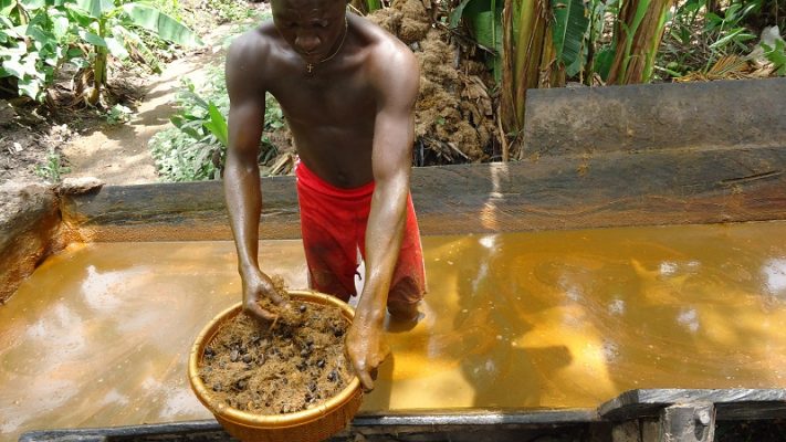 how to start palm oil business in nigeria