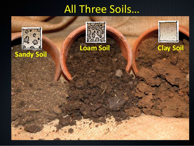 types-of-soil-earnbase