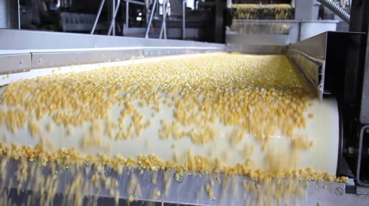 How To Start A Corn Starch Production Business