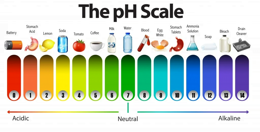 How To Control The pH Of A Liquid Soap